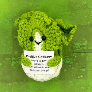 Könnte beinhalten: Ein grünes, gehäkeltes Kohl-Plüschtier, das eine Karte mit der Aufschrift "Positive Cabbage I may be a tiny cabbage, but I believe in you, go do your things!" hält.