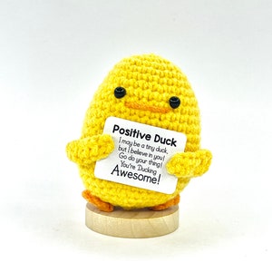 Abraço de bolso feito à mão, pato positivo de crochê, presente motivacional, presente exclusivo para ela/ele, presente atencioso, decoração de mesa/escrivaninha fofa, brinquedo de incentivo