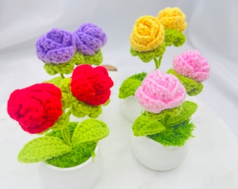 Handmade Crochet Twin Roses,Blossoms, Romantic Gift, Elegant Amigurumi Plush, Unique gift, Caring gift, Home Table/ Desk Decor, presents