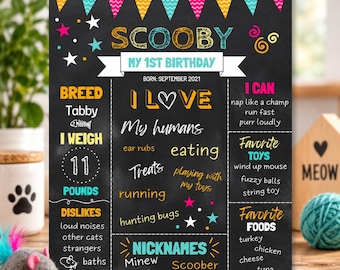 May include: A rectangular chalkboard-style birthday sign for a cat named Scooby, featuring colorful bunting, stars, and text detailing birth date, weight of 11 pounds, breed, likes, dislikes, nicknames, favorite toys, and favorite foods in various fonts.