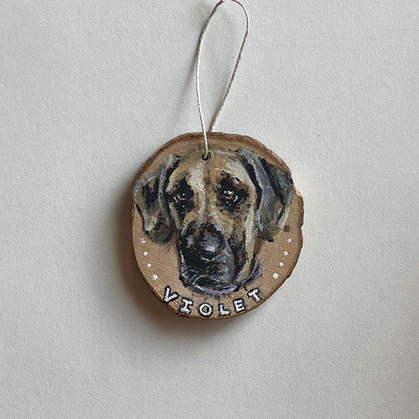 Custom Hand-painted Pet Portrait Ornament