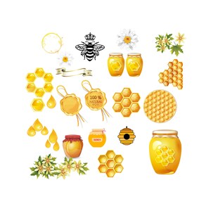 Bee & Honeycomb Clipart Bundle: Queen Bee, Beehive (PNG)