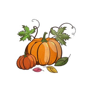 umpkin patch png - Pumpkin png - Fall pumpkins harvest - Autumn png - Halloween shirt - Pumpkin variety - Fall shirt png - Leopard pumpkin