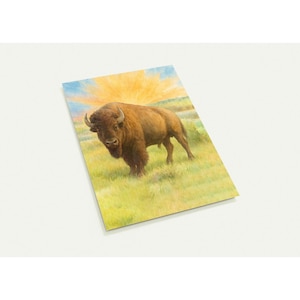 Bison Greeting Cards: National Bison Day, Pack of 10