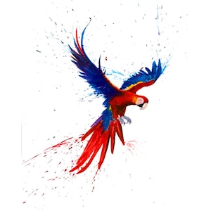 Birds png cliparts, Tropical Clipart, Exotic bird Svg, Parrot PNG, Parrot Bundle, Parrot SVG, Parrot Clipart,birds bundle svg n/a