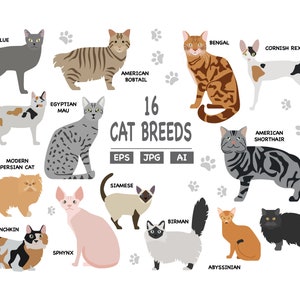 16 種類の猫の品種チャート、猫の品種のポスター、猫、ペット svg、jpg、png、pdf、eps、ai A4