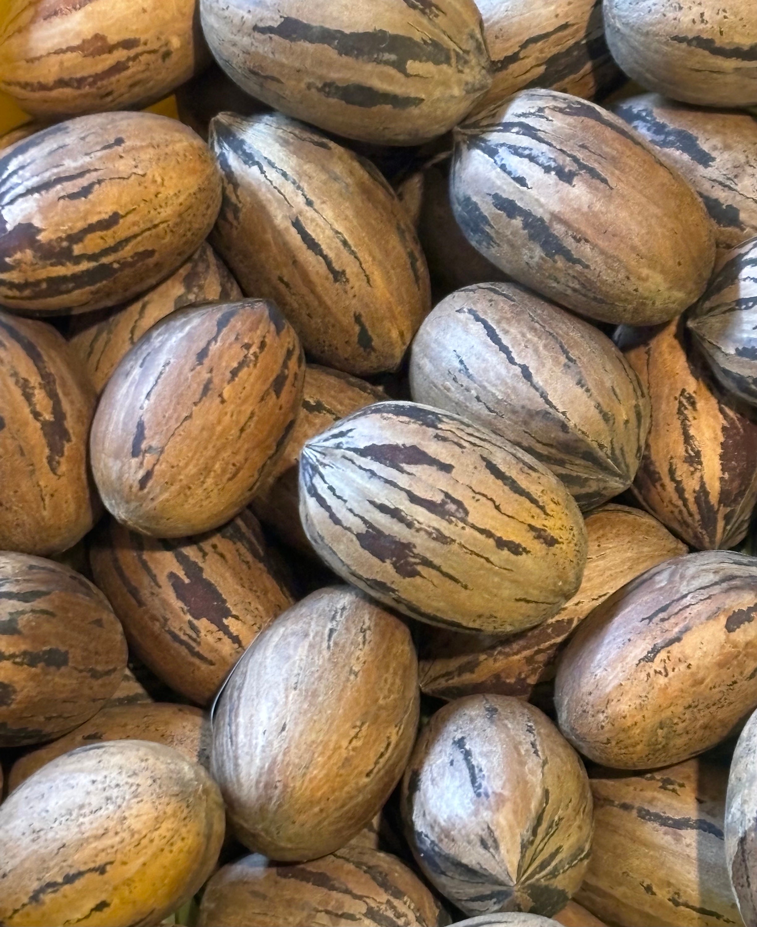 10 Lbs of ORGANIC FRESH 2023 Arkansas Stuart PECANS in Shell Etsy