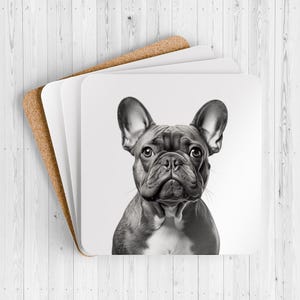 French Bulldog 4-piece Coaster Set