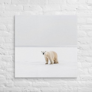 Polar Bear Print | Polar Bear Wall Art | Polar Bear Canvas Print | Minimalist Wall Art