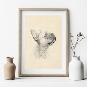 French Bulldog Wall Art | Fine Art Drawing Print | French Bulldog Illustration | Dog Vintage Style Print