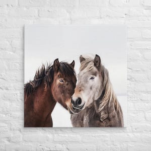 Wilde Pferde Druck | Wilde Pferde Wand Kunst | Fine Art Pferdefotografie | Wilde Pferde Leinwanddruck