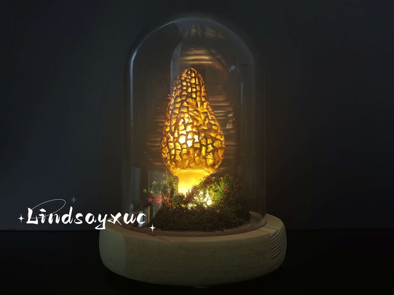 Morel Mushroom Lamp Fairy Mushroom Night Light Vintage Etsy