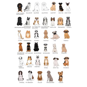 May include: A collection of illustrated dog breeds, each with its name below. Breeds include Dachshund, Maltese, Mastiff, Mini Poxy, Newfoundland, Old English Sheepdog, Poodle, Pug, and more. The illustrations are in a cartoon style.