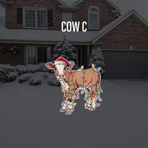 May include: A brown and white cow wearing a red Santa hat and wrapped in colorful Christmas lights. The cow is standing in front of a house with snow on the ground.