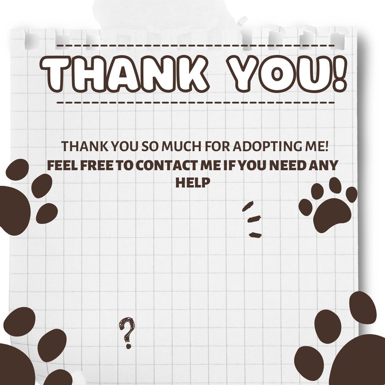 Furry Adopt Unnamed 28 Furry Adoption, Reference Sheet, Fursona Etsy