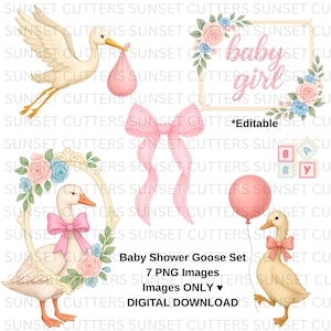 May include: A digital download set of baby shower graphics. The set includes a stork carrying a pink bundle, a frame with the words "baby girl", a pink bow, a goose with a pink bow, and other elements. The graphics are in PNG format.