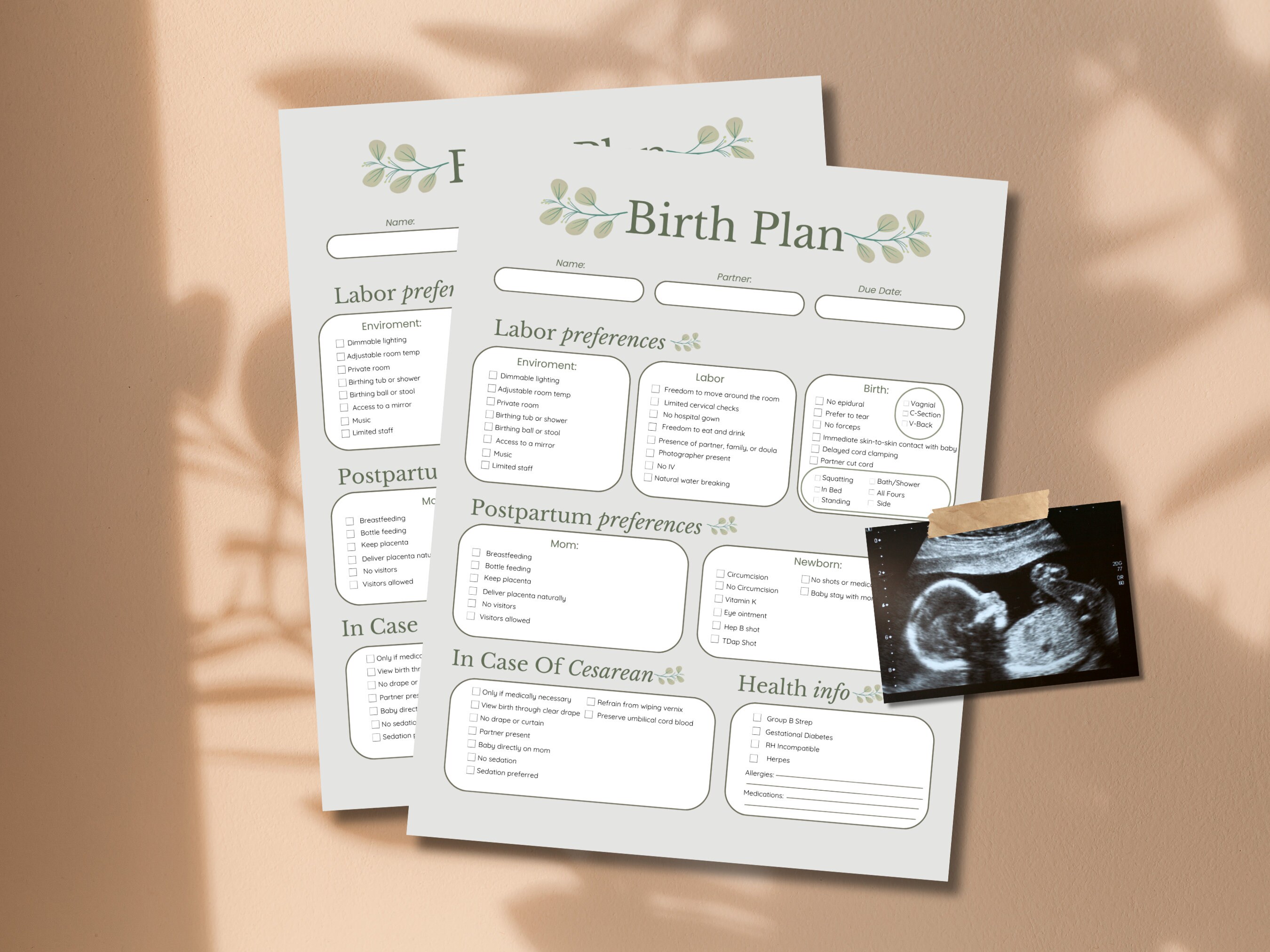 Editable Birth Plan Template: Pregnancy Planner (canva) - Etsy
