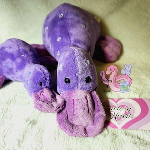 Puede incluir: Dos juguetes de peluche de ornitorrinco morados con pequeños patrones de estrellas plateadas en la espalda. Cada juguete presenta una textura suave y difusa, ojos oscuros y un pico ancho y plano. Se incluye una tarjeta con el texto Factory Hearts.