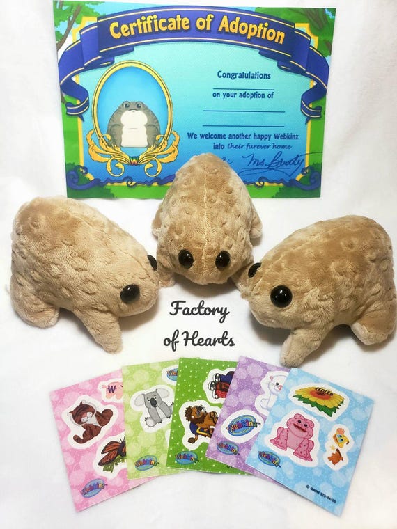 Webkinz Classic Handmade Custom Desert Rain Frog NO CODE ~multiple