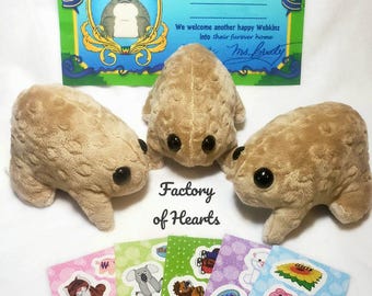 Webkinz Classic Handmade Custom Desert Rain Frog WITH CODE