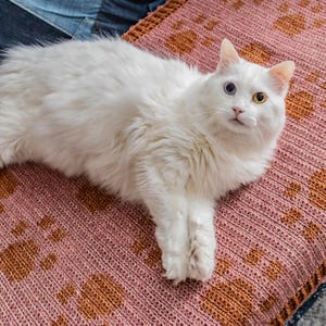 Paw Prints On My Heart Blanket - A Tapestry Crochet Pattern For A Blanket With Animal Paws - for Newborns, Stroller Walks, and Cozy Naps