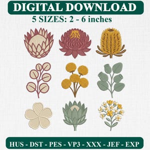 Può includere: Un set di ricami in download digitale con nove distinte illustrazioni botaniche, tra cui protee, banksia, foglie di eucalipto e piccoli fiori di campo. Il testo recita DIGITAL DOWNLOAD 5 SIZES: 2 - 6 inches e HUS - DST - PES - VP3 - XXX - JEF - EXP.