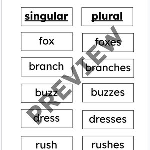 Montessori Plural Sorting Cards -es