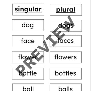 Montessori Plural Sorting Work -s