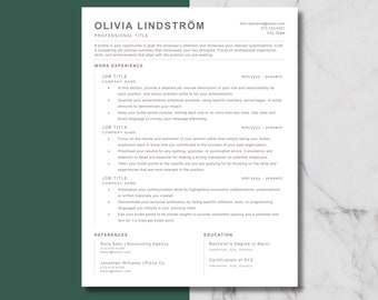 Minimalist Resume Template for Word, Google Docs, & Apple Mac Pages ATS Friendly Classic CV Builder Professional Simple Curriculum Vitae