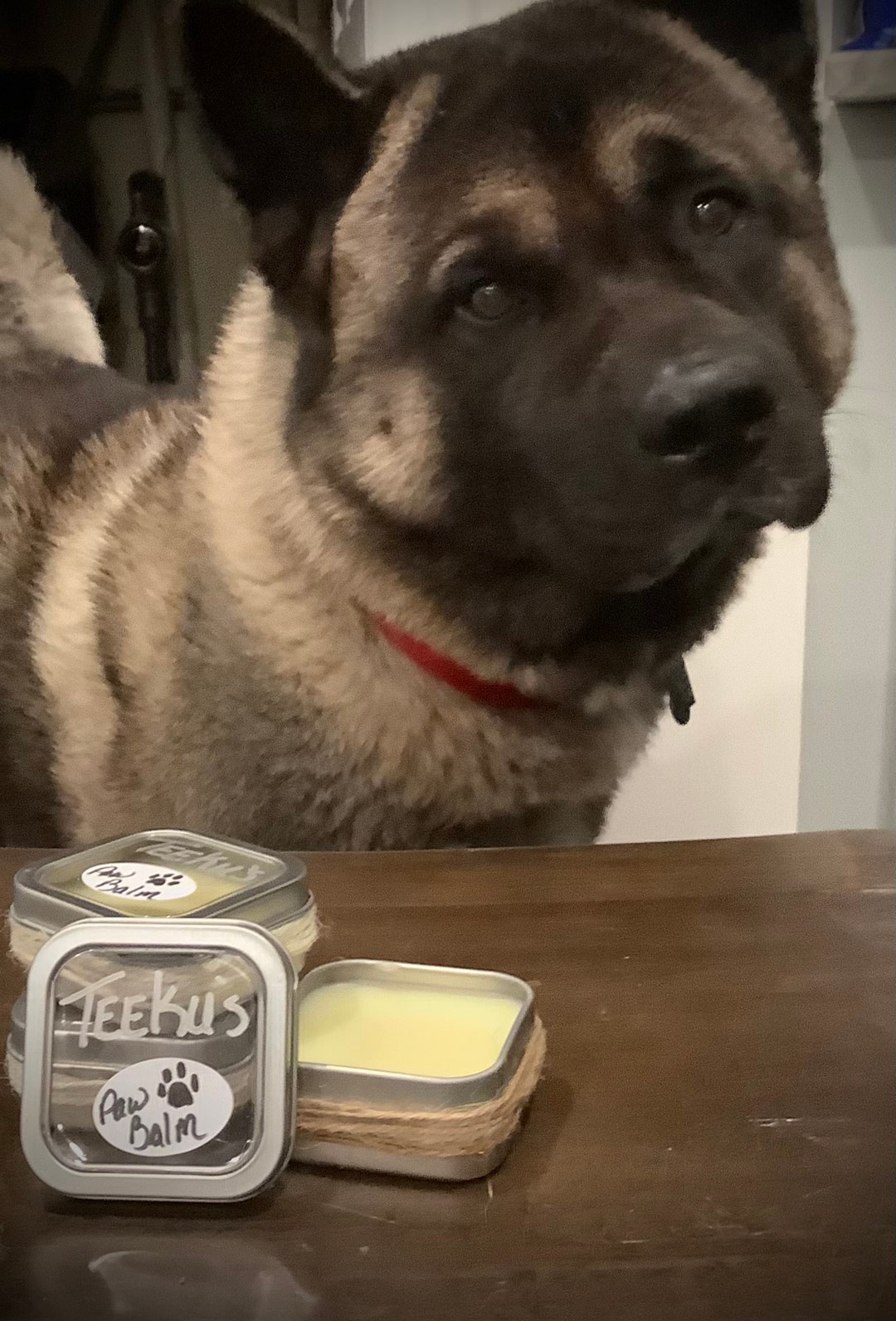 Teekus Paw Balm Dog Paw Balm Animal Paw Balm Cat Paw Balm Etsy