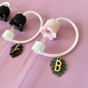 May include: Clear glass tubes with white rubber stoppers and decorative charms. The charms include black and green leaf shapes with gold-colored letters and a white loop. The tube tops are shaped like pink and black flowers. The background is a solid pink color.