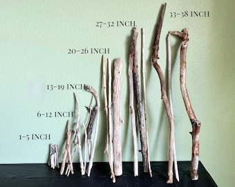 May include: A collection of driftwood pieces of varying sizes, ranging from 1 to 38 inches in length. The pieces are arranged against a light green wall, with text labels indicating their approximate lengths. The driftwood has natural colors.