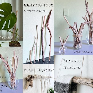 Driftwood Piece Coastal Decor Branch Macrame Dowel Rustic Drift Wood Bulk Natural Wood Bundle for Craft Beach Wedding Centerpiece DIY Kit Christmas thanksgiving holiday natural driftwood for diy craft and handmade home decor wedding centerpieces coastal rustic accents for unique artistic displays boho macrame dowel branch for crafts plant hangers and creative projects ideal for natural art and gifts