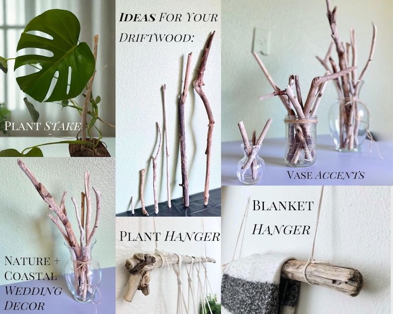 Driftwood Piece Coastal Decor Branch Macrame Dowel Rustic Drift Wood Bulk Natural Wood Bundle for Craft Beach Wedding Centerpiece DIY Kit Christmas thanksgiving holiday natural driftwood for diy craft and handmade home decor wedding centerpieces coastal rustic accents for unique artistic displays boho macrame dowel branch for crafts plant hangers and creative projects ideal for natural art and gifts