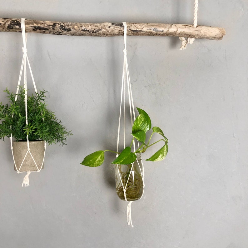 Custom Long Driftwood Plant Hanger Rustic Organic Plant Holder Drift