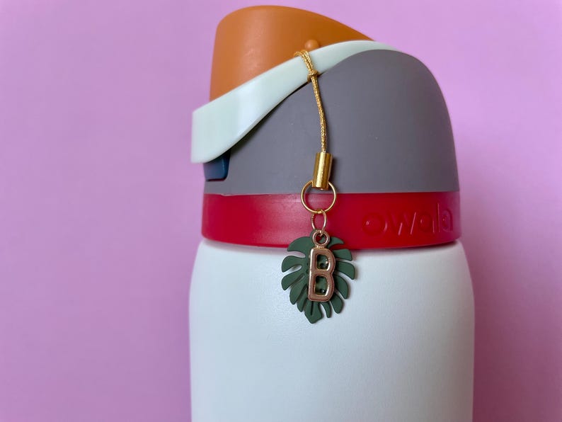 Charm for Flip Straw Water Bottle Charm Tag for Tumbler Lid Charm Personalized Cup Party Favor Back to School Cup Gift for Teacher Plant Cup