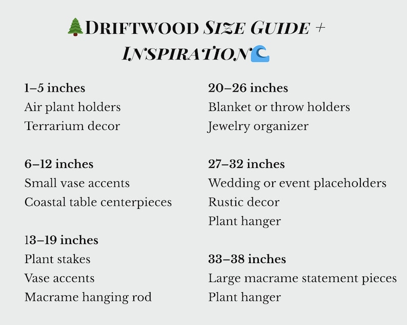 Peut inclure: Un guide des tailles pour le bois flott&eacute;, avec des mesures en pouces (1 pouce = 2,54 cm). Il propose des id&eacute;es pour les supports de plantes a&eacute;riennes, la d&eacute;coration de terrariums, les petits accessoires de vases, les centres de table c&ocirc;tiers, les tuteurs &agrave; plantes, etc.