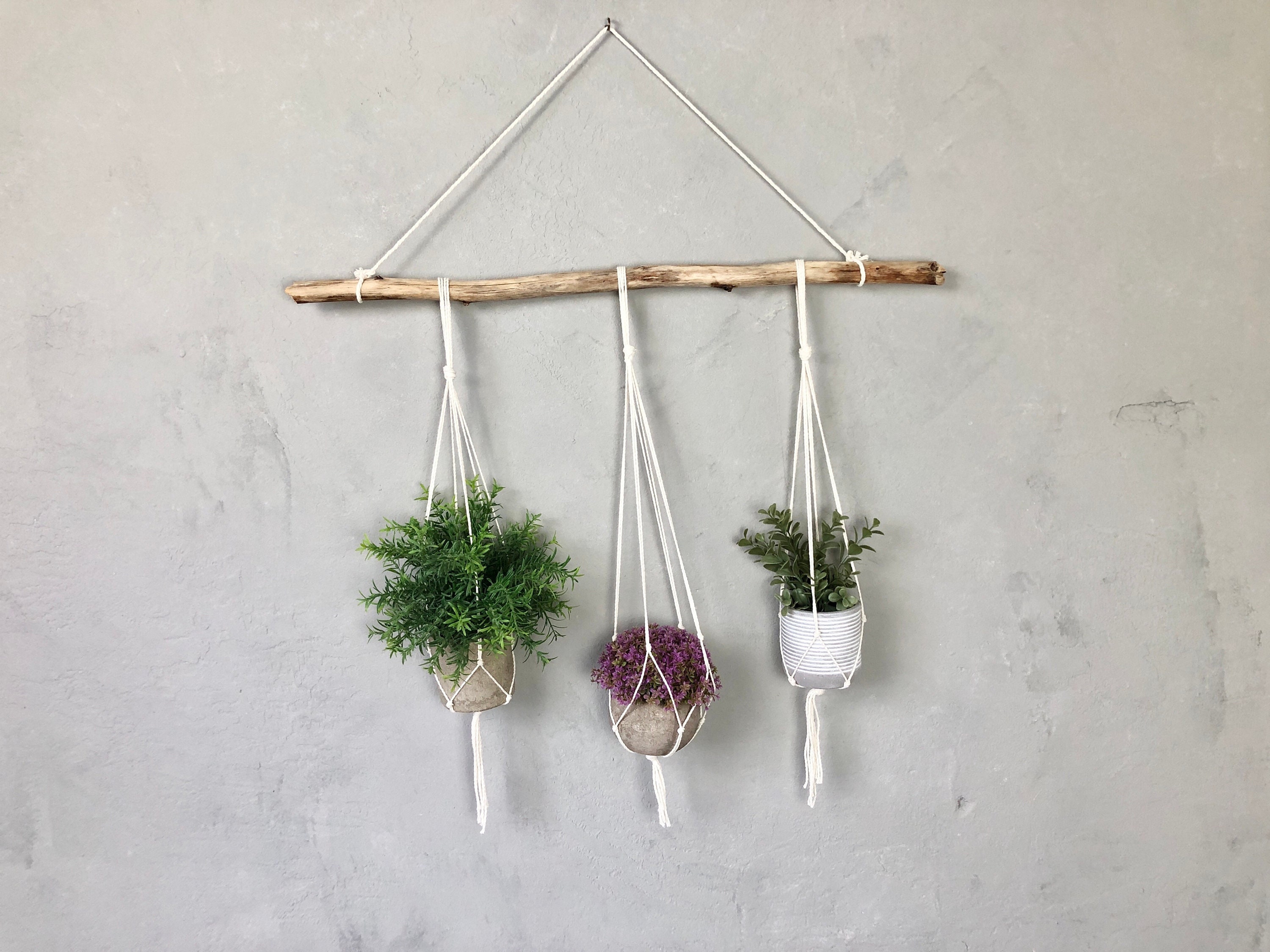 2 Branches En Bois Flotté Avec Crochets – Décoration Murale Bohème, Suspendues, 5 Crochets Par Branche