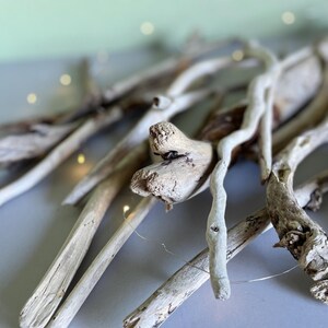 Driftwood Piece Coastal Decor Branch Macrame Dowel Rustic Drift Wood Bulk Natural Wood Bundle for Craft Beach Wedding Centerpiece DIY Kit holiday Christmas thanksgiving natural rustic coastal driftwood for diy craft projects boho chic style for home wedding or event decor perfect for handmade decorations and unique art pieces ideal for macrame hangers plant holders and centerpieces