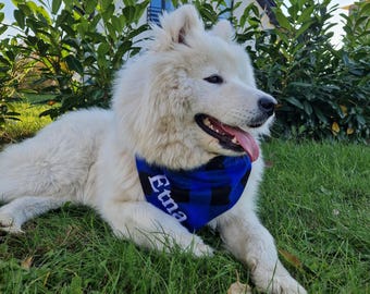 Custom Embroidered Dog Bandana | Personalized Pet Scarf