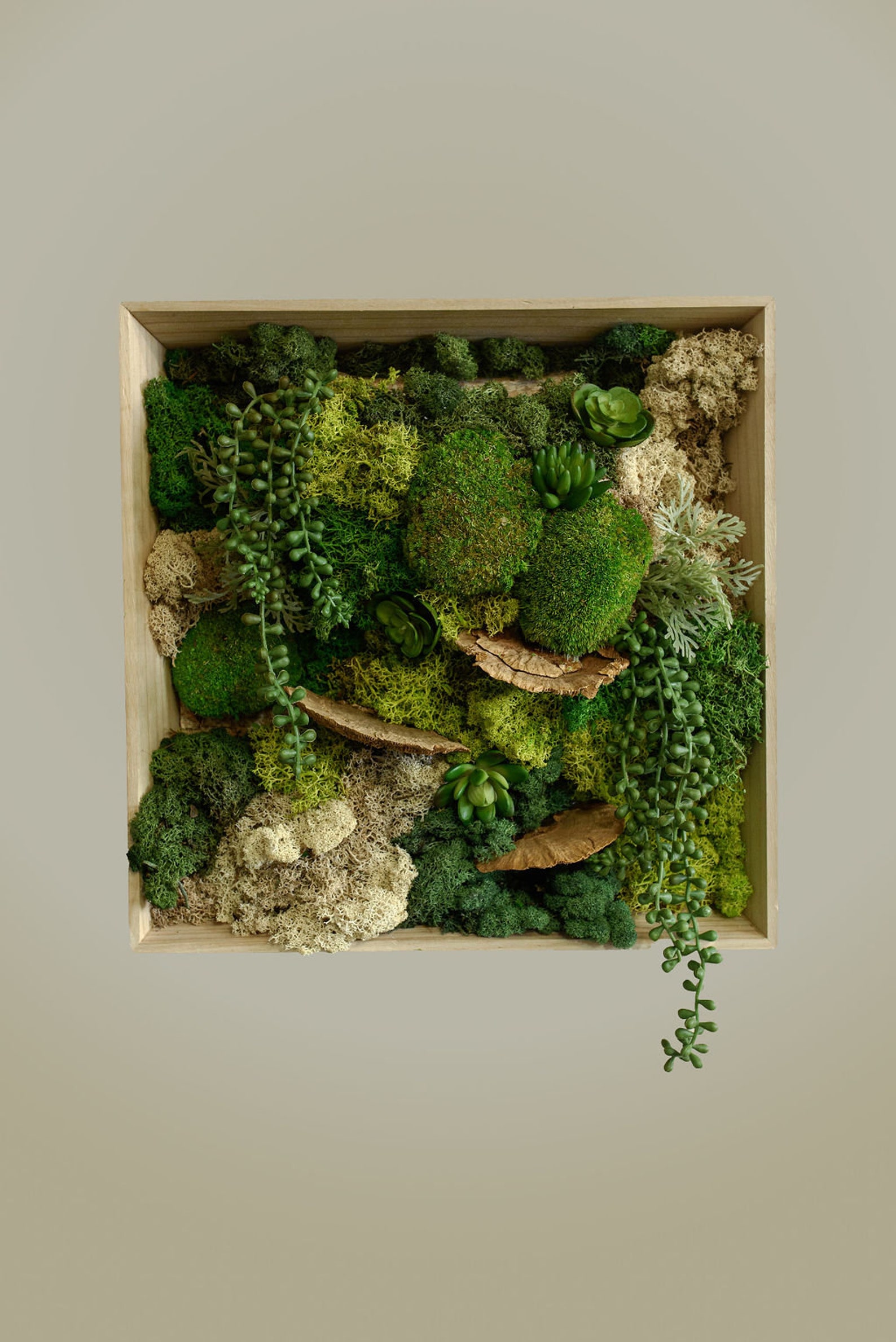 Beautiful Moss Wall Art, Home & Office Decor, Natural Greenery to