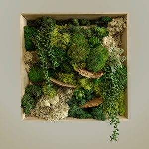 Moss Wall Art Anniversary Gift Natural Decor Moss Wall Art Decor Wood Preserved Moss Home Decor Gift for Mom Art