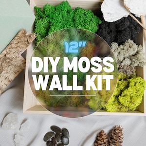 Date Night Kit DIY Moss Frame DIY Kit Craft With Preserved Reindeer Moss Botanical Hand-made Birthday Gift Create Your Own Moss Wall Decor