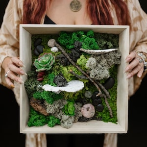 Biophilic Preserved Moss Wall Art Preserved Reindeer Moss Nature Gift Interior Decor Wall Hanging Pole Moss Sustainable Art