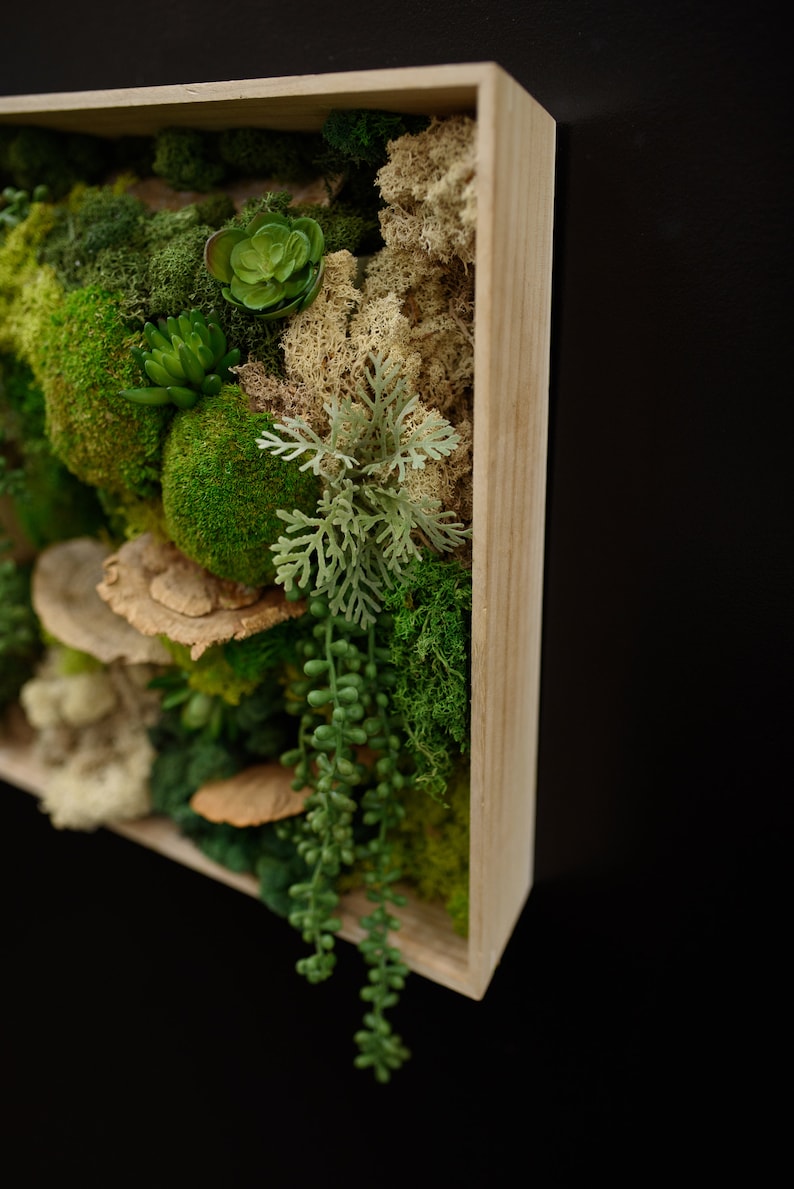 Beautiful Moss Wall Art, Home & Office Decor, Natural Greenery to