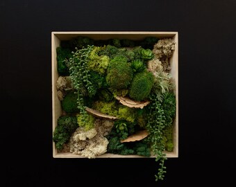 Preserved Moss Wall Art Home Decor Natural Green Sustainable Wall Planter Eco-Friendly Living Art Reindeer Moss Sheet Moss