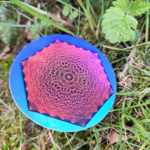 May include: A red and blue geometric design on a round sticker. The design is a complex pattern of lines and circles.