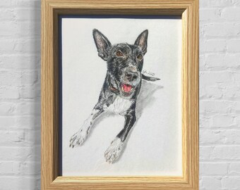 Retratos de mascotas personalizados