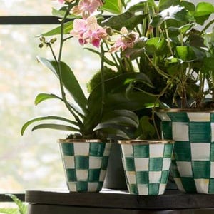 K&ouml;nnte beinhalten: Drei Keramik-Blument&ouml;pfe mit einem handbemalten gr&uuml;n-wei&szlig;en Karomuster und einem metallisch goldenen Rand. Die T&ouml;pfe enthalten gr&uuml;nes Blattwerk und eine bl&uuml;hende rosa Orchidee mit mehreren Bl&uuml;ten und Knospen an schlanken Stielen.