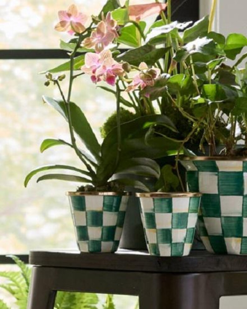 K&ouml;nnte beinhalten: Drei Keramik-Blument&ouml;pfe mit einem handbemalten gr&uuml;n-wei&szlig;en Karomuster und einem metallisch goldenen Rand. Die T&ouml;pfe enthalten gr&uuml;nes Blattwerk und eine bl&uuml;hende rosa Orchidee mit mehreren Bl&uuml;ten und Knospen an schlanken Stielen.